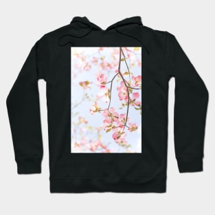 Sakura Flowers Hoodie